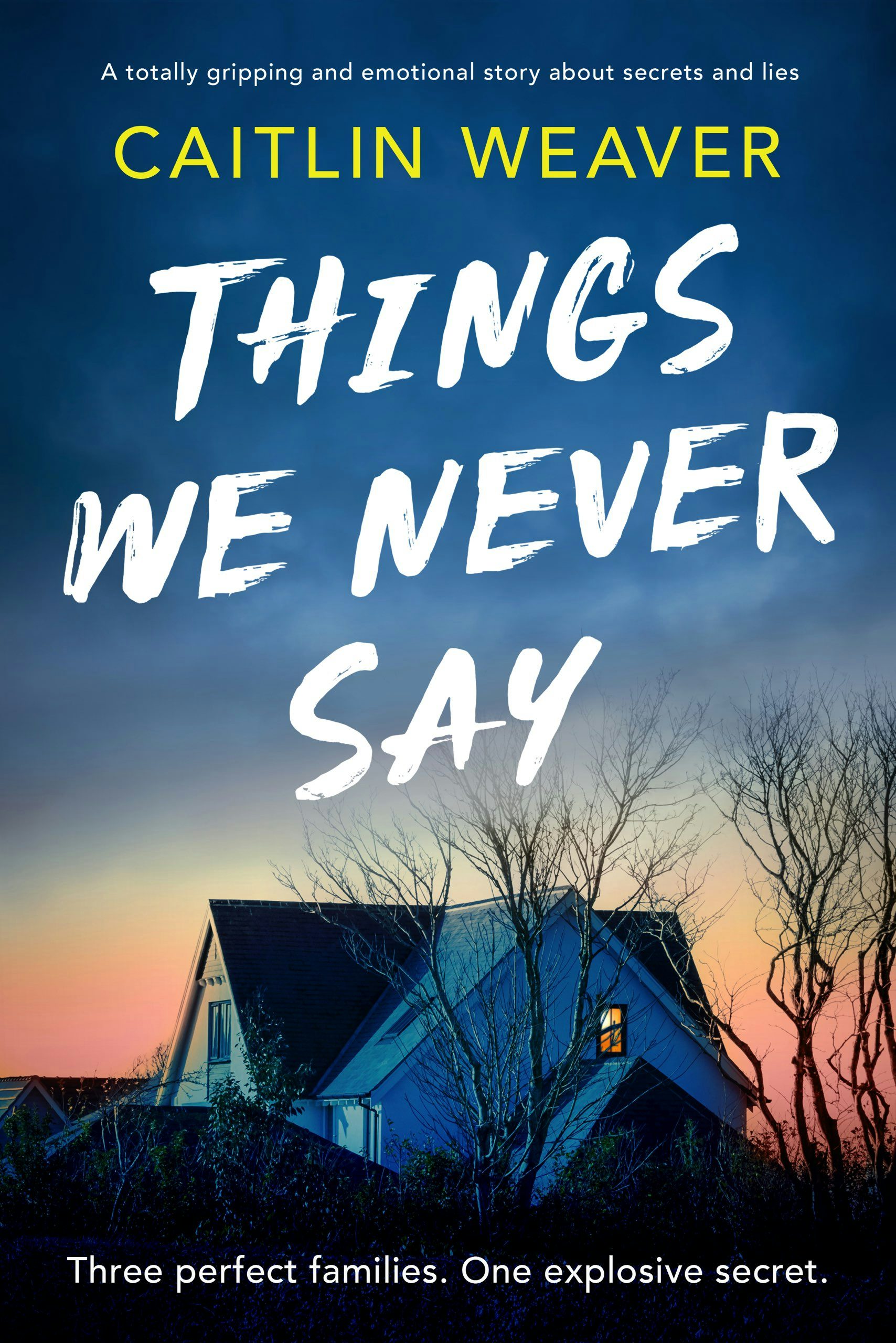 Book cover image for Things We Never Say ISBN: 9781805086703